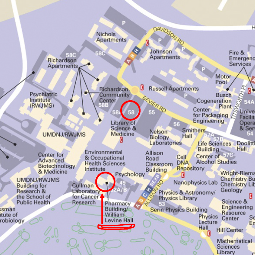 Walking map from parking Lots 55, 58 & 58A to the Ernest Mario School of Pharmacy, William Levine Hall